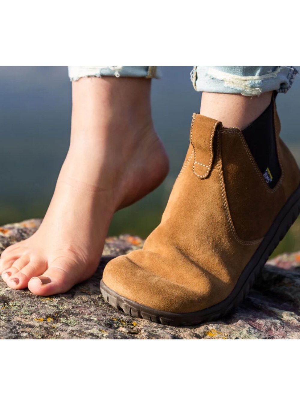 Lems Chelsea Boot - Suede - Picture 2 of 8